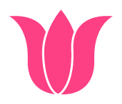 Lawn Renovation Service