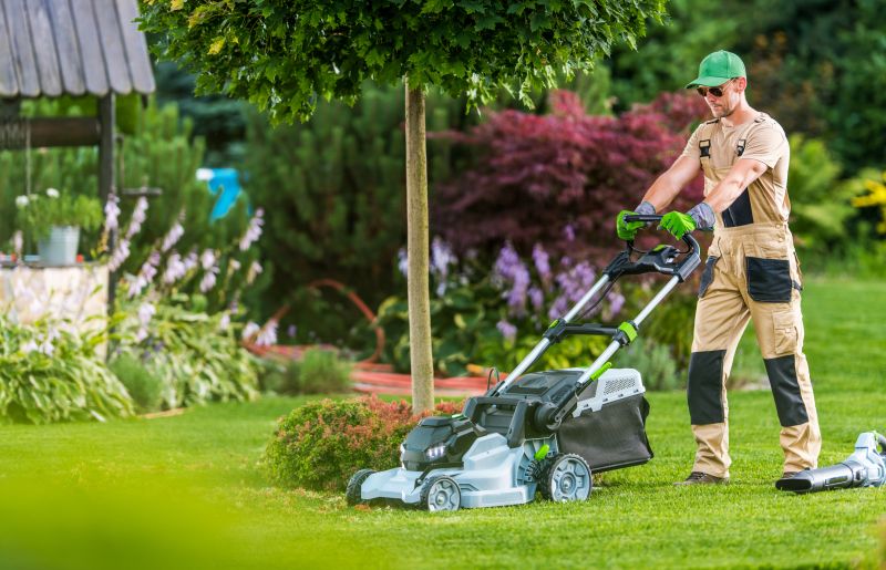 Lawn Renovation Service