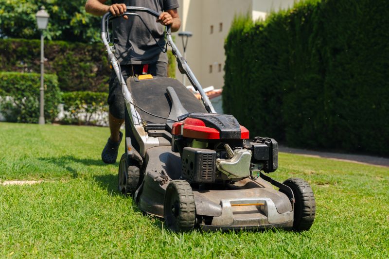 Lawn Renovation Service