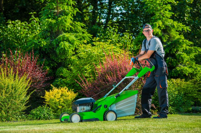 Lawn Renovation Service