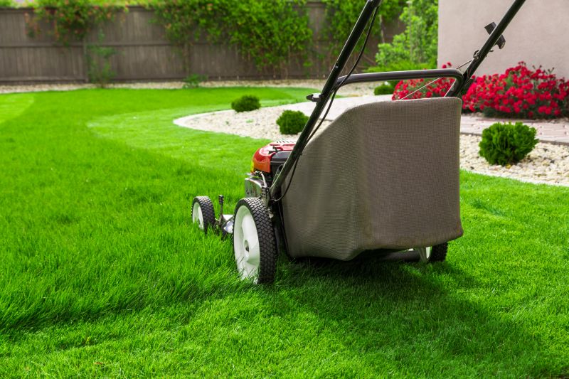 Lawn Renovation Service