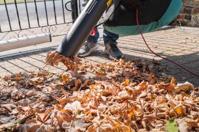 Equipment for Fall Cleanup