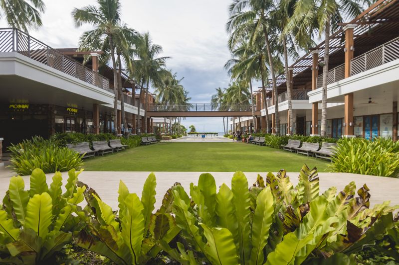 Lawn Renovation Service