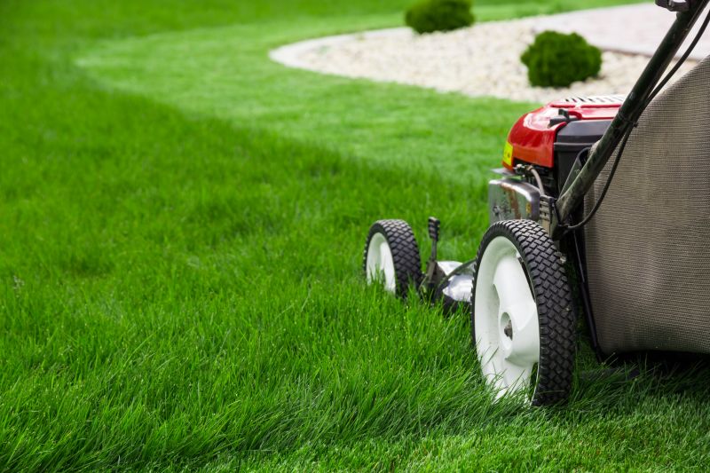 Lawn Renovation Service