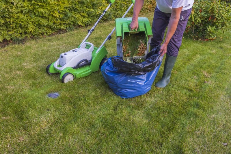 Lawn Renovation Service