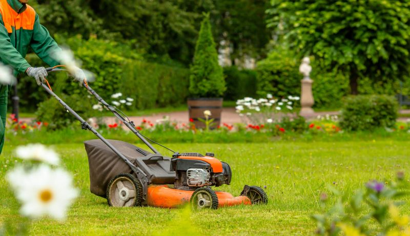 Lawn Renovation Service