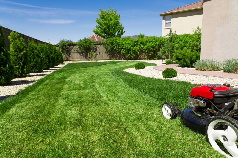 Lawn Renovation Service