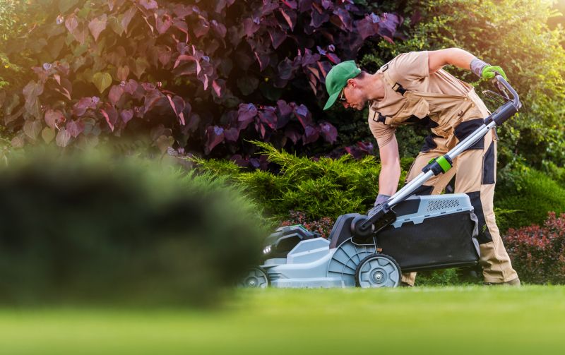 Lawn Renovation Service