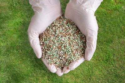 Lawn Fertilization for Lawn Renovation!